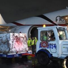 Arriban a México más de 643 mil dosis de Pfizer