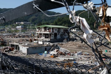 El epicentro del terremoto se ubicó en el mar frente a la costa de Honshu. El Servicio Geológico de Estados Unidos (USGS) explicó que se originó a causa de un desplazamiento en las proximidades de la zona de la interfase entre las placas de subducción del Pacífico y la Norteamericana. Es el terremoto más potente sufrido en Japón hasta el momento con una magnitud de 9,1 Mw.