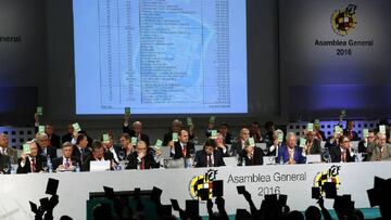 Imagen de la Asamblea General de la RFEF de 2016.