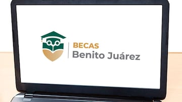 Becas Benito Juárez 2024: ¿qué hacer si el sistema no reconoce mi CURP?
