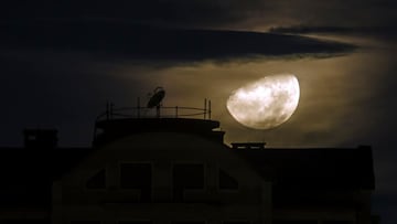 La luna cuarto menguante de este mes será visible la noche del 18 de julio del 2025 e impactará en el signo zodiacal de Aries.
