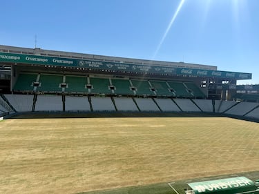 Nuevos cuidados para el césped de El Arcángel