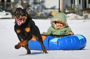 El invierno golpea con fuerza en algunas zonas de EE UU y las bajas temperaturas de Pensilvania han hecho posible que la nieve tiña de blanco gran parte de la ciudad. En la imagen, la pequeña Kiara Unger-Fields, de 4 años, disfruta en Roxbury Park, en Johnstown, sobre un hinchable tirado por su perro Neo, un cachorro de Rottweiler.