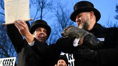 Punxsutawney Phil’s prediction record: How accurate is the famous groundhog?