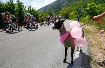 El pelotón durante la novena etapa del Giro de Italia 2022 con un recorrido de 191 kilómetros entre Isernia y Blockhaus.