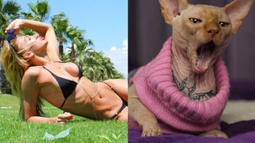 Una instagramer ucraniana tatúa a su gato, lo que provoca olas de críticas por maltrato animal.