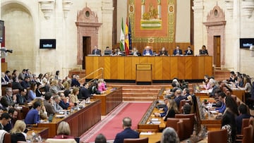 El Parlamento andaluz durante la sesión plenaria. A 11 de febrero de 2026, en Sevilla (Andalucía, España). Primera jornada del primer Pleno del Parlamento andaluz del año 2026, que incluye el debate final del proyecto de Ley Universitaria par Andalucía y comparecencias de la consejera de Economía, Hacienda y Fondos Europeos, Carolina España; el consejero de Sanidad, Presidencia y Emergencias, Antonio Sanz; y el consejero de Justicia, Administración Local y Función Pública, José Antonio Nieto.
11 FEBRERO 2026
María José López / Europa Press
11/02/2026