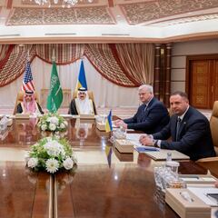 Ucrania acepta la propuesta de alto el fuego de 30 días de EEUU: advertencia de Rusia a Trump