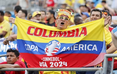 Tickets for Argentina - Colombia Copa América final: prices and where to buy