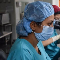 Crean la primera forma de vida inmune a los virus