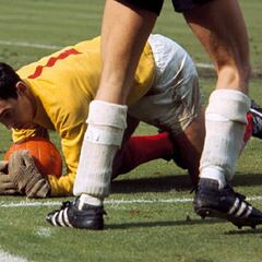 Muere Banks, el portero que le hizo la parada del siglo a Pelé