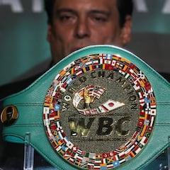 El Consejo Mundial de Boxeo ayuda a la familia de Saúl Tejada