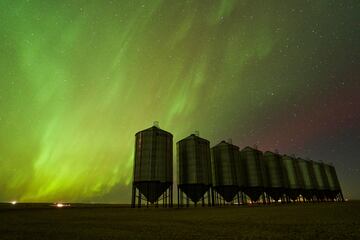 La aurora boreal, también conocida como luces del norte, ilumina el cielo sobre los silos de granos de un agricultor cerca de Herronton, Alberta, Canadá