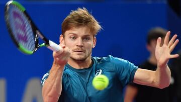 Goffin se deshace de Feliciano