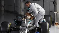 Hamilton desata la controversia tras revelar que ha hecho vegano a su perro