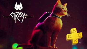Juega gratis a Stray de lanzamiento, no tendr¨¢s 7 vidas pero s¨ª 7 d¨ªas gratis