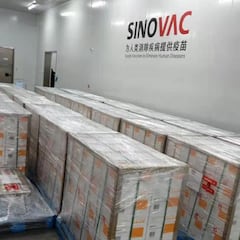 Vacunación Colombia: Cuántas dosis de Sinovac han llegado y cuándo comenzará su distribución