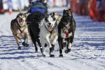 Después del acto ceremonial, ayer comenzó la primera etapa de la carrera de trineos con perros en Willow, Alaska. El viaje será de un total de 1.609 kilómetros.