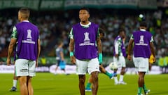 Así están los cupos de Colombia para los torneos internacionales