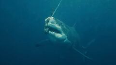 Tres surfistas exploran las playas más peligrosas de Australia