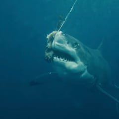 Tres surfistas exploran las playas más peligrosas de Australia