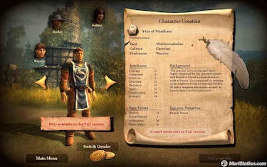 Drakensang: The Dark Eye, Impresiones