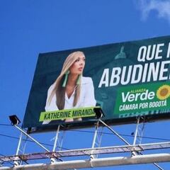 Vallas de Katherine Miranda con el texto ''que no nos abudineen el país'', deben retirarse: CNE