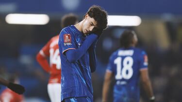 Valor de mercado: 20 millones de euros.