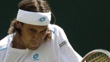 David Ferrer