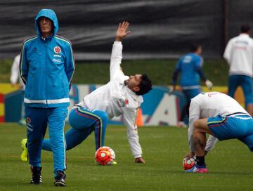 Pékerman trabaja en Bogotá antes del partido contra Ecuador en la altura de Quito