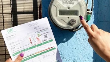 De CDMX a Tamaulipas: los lugares en los que el CFE llevará el operativo de ir casa por casa en estos meses