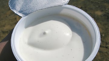 Un experto señala cuáles son los tres mejores yogures de Mercadona: “Son naturales y auténticos”