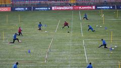 Retorno del fútbol: pseudoplacer del cerebro