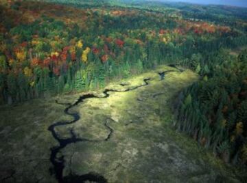 El Parque provincial Algonquin está situado entre la Bahía Georgian y el Río Ottawa en Ontario Central, Canadá. Es el primer parque provincial de Canadá, cubre más de 7.500 km² y cuenta con más de 2.400 lagos y 1.200 kilómetros de arroyos y ríos. Esto sumado a su proximidad a los grandes centros urbanos de Ottawa y Ontario le convierten en uno de los parque provinciales más populares de todo el país.