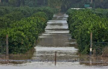 Campos de la pedanía anegados por el agua en San Pablo de Bucite, Cádiz.