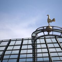 La gran preocupación del dueño del Tottenham