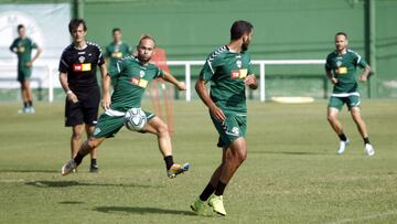 El Elche se entrenará en terrenos municipales dentro de dos semanas