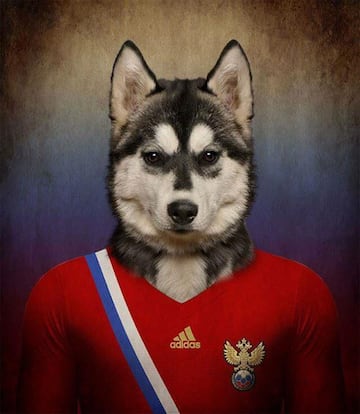 Así serían las selecciones de un Mundial canino