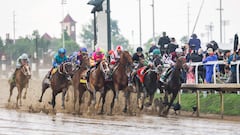 In Kentucky, where the air carries whispers of legends and the scent of mint juleps, stands Churchill Downs, a hallowed ground for horse racing enthusiast.