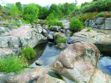      Los bellos parajes de Sierra de Gata son los protagonistas de una ruta de 15 km, cuyo recorrido se inicia en la localidad de Acebo, concretamente en la zona de baño El Jevero, un espacio en el que poder disfrutar de las cristalinas aguas de una de las piscinas naturales más peculiares y bonitas de Extremadura. El agua, los miradores de la zona y la flora del lugar serán los protagonistas de una ruta que transcurre por siete sendas de esta comarca cacereña.
Parque Nacional de Monfragüe     