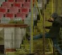 Violencia y chascarro: el show de unos hinchas en Rumania