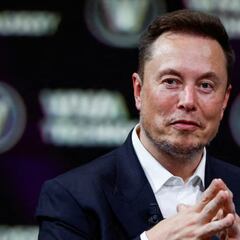 Un megaproyecto enfrenta a Elon Musk y Amancio Ortega en territorio español