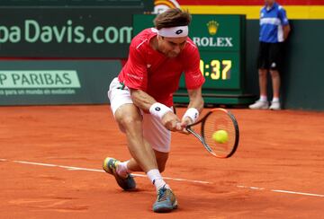 David Ferrer.