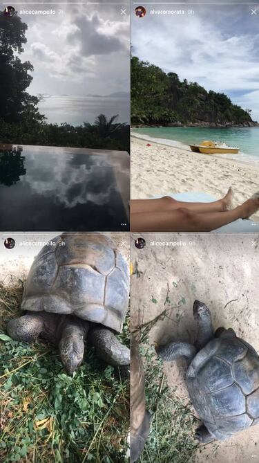 Alice Campello presume de Morata: "Mi marido"