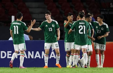 ¿Hormiga al Mundial?