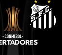 Final Copa Libertadores: análisis previo del Palmeiras-Santos
