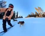Una snowboarder graba cómo le ataca una jauría de perros