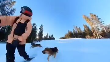 Ataque de una jauría de perros a una snowboarder en Kopaonik, Serbia.