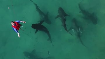 Sharkbanz, pulsera repelente tiburones