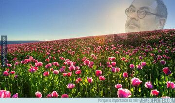 Los memes más divertidos del fin de semana